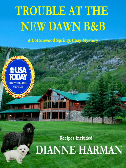Cover image for Trouble at the New Dawn B & B